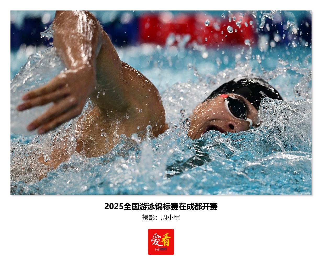 游泳官方发布赛后数据，表现引争议