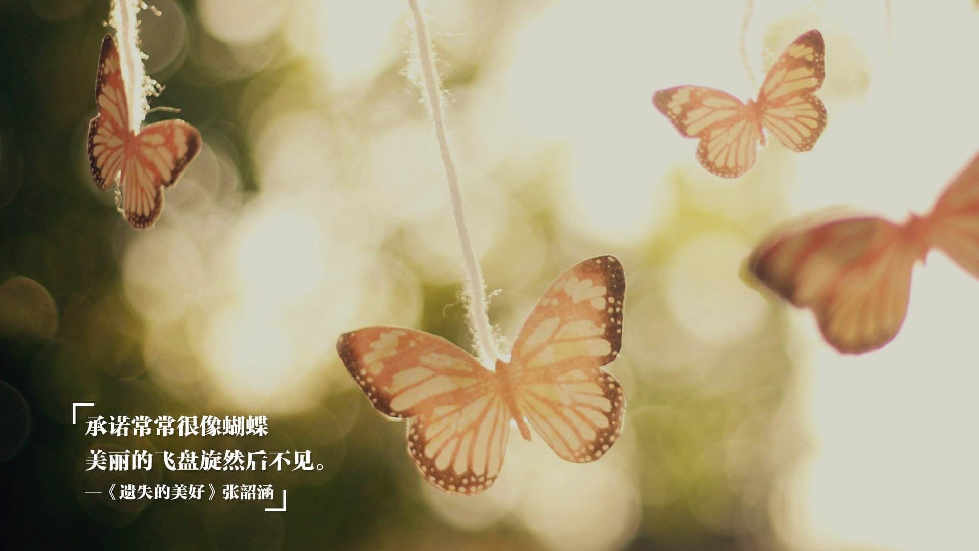 开云体育-跨界荣耀，当月光照亮球场，烈阳西沉达拉斯