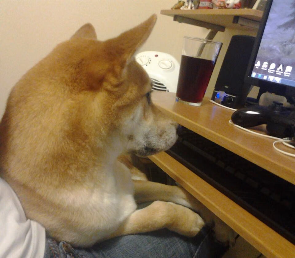 绿衫军15-0攻击波席卷凤凰城，无名英雄乔治如何成为关键先生