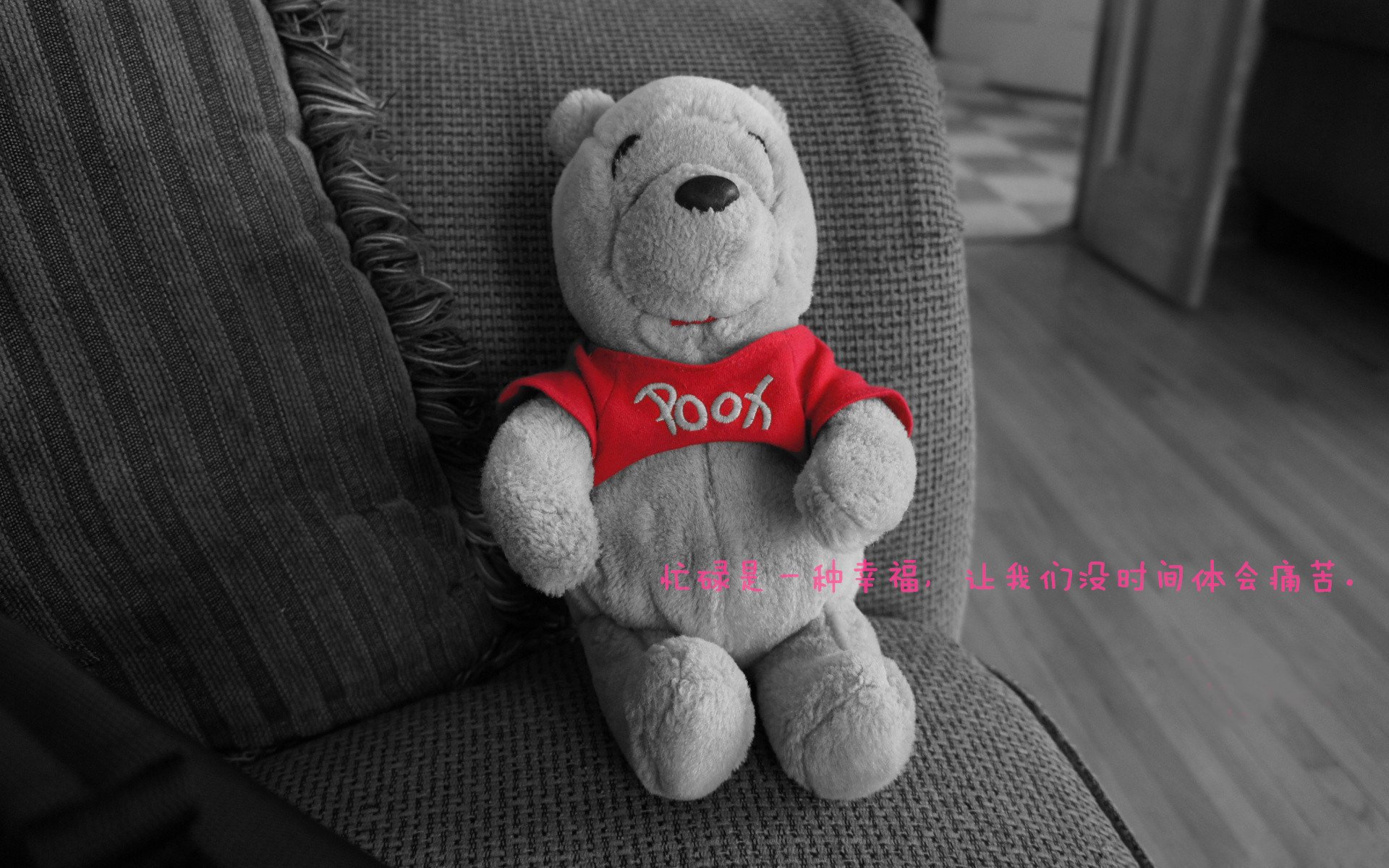 开云sport-上帝视角，乔治如时钟般精准，太阳军团全面压制浙江