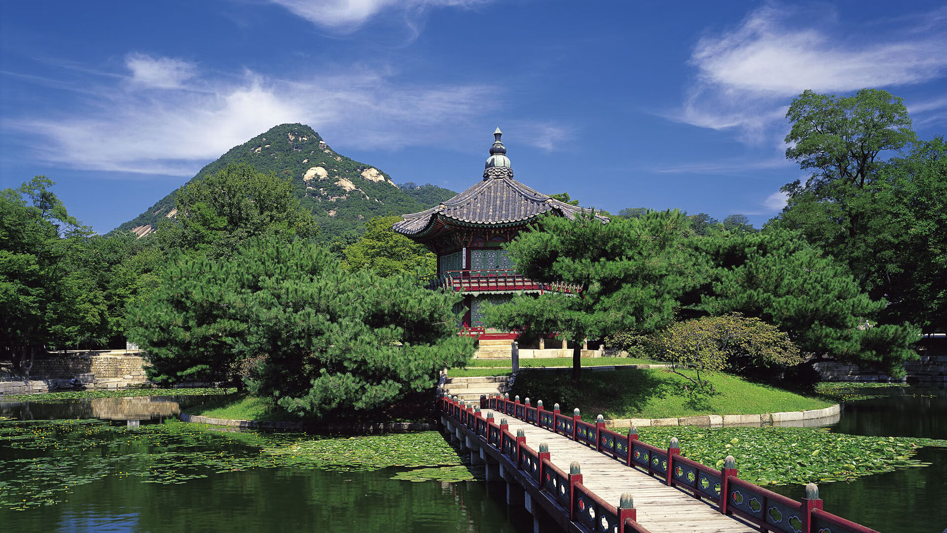 开云体育APP下载-奥运前哨的闪电战，雷恩单节19分优势如何撕碎马德里竞技的钢铁防线