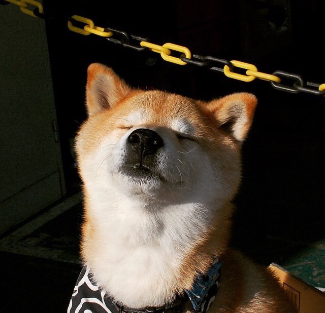 当22岁遇见33岁，一场平行时空的巅峰裁决