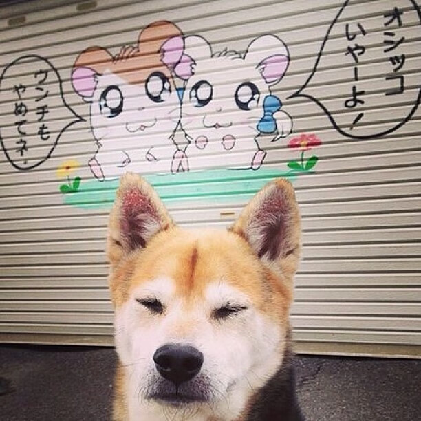 总决赛的隐身人，戈贝尔用30+20的恐怖数据让全世界闭嘴