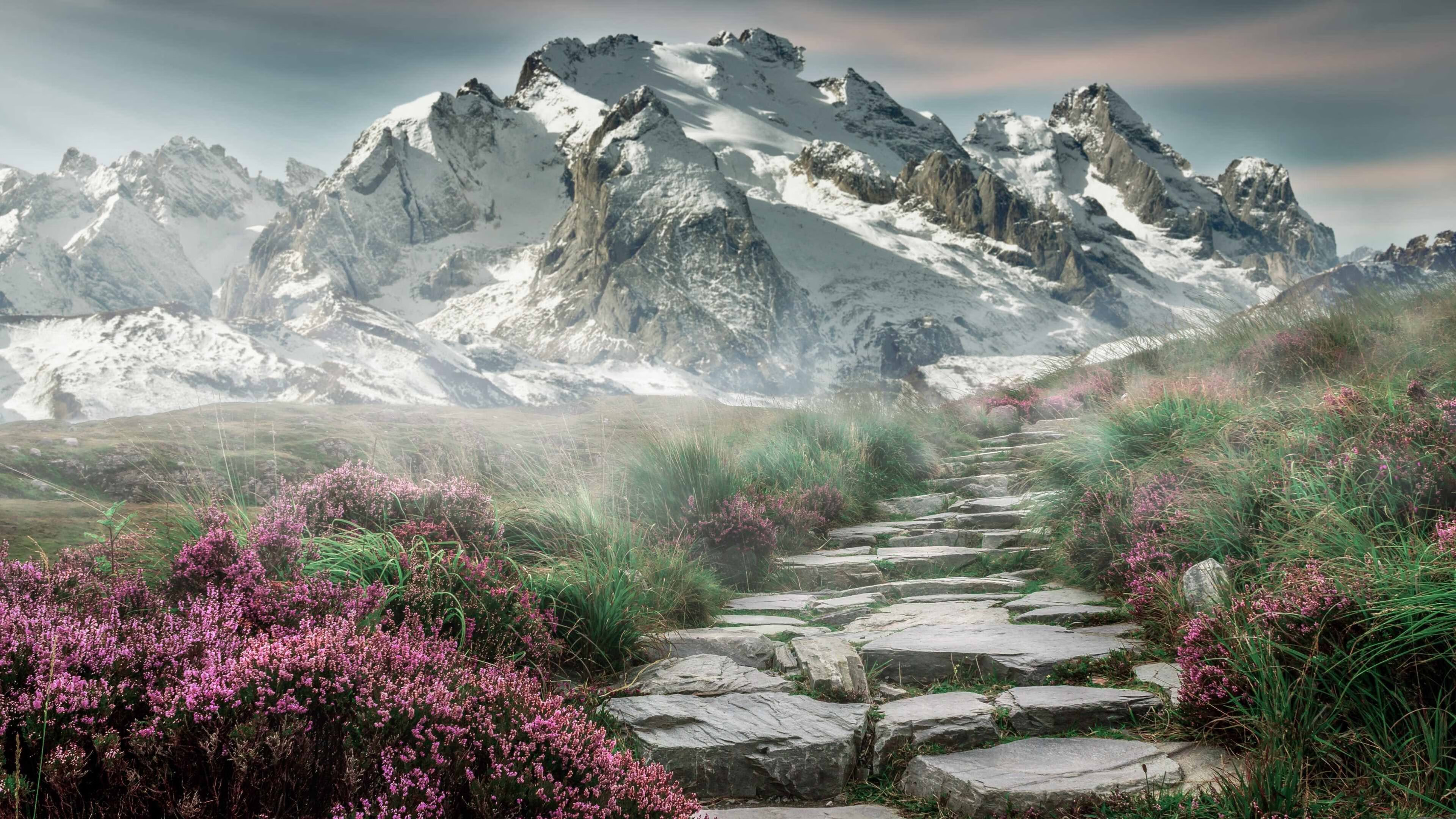 银幕与赛道的双重战场，F1夜战轰鸣与布伦森的持续杀伤