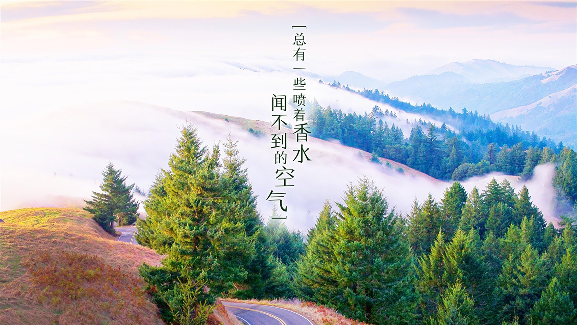 绿茵场上的时空交叠,当樱花遇见石墙,赖斯的纪录诠释足球本质