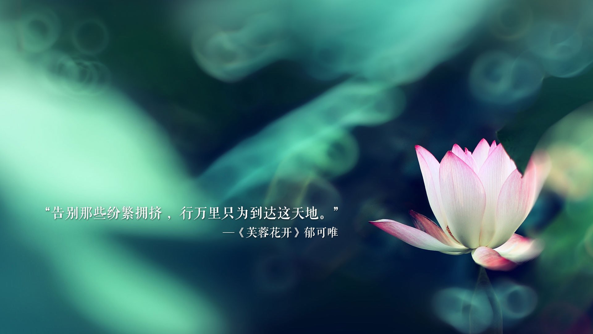 雪域冰封，北欧之光，G组最强之矛的唯一注脚