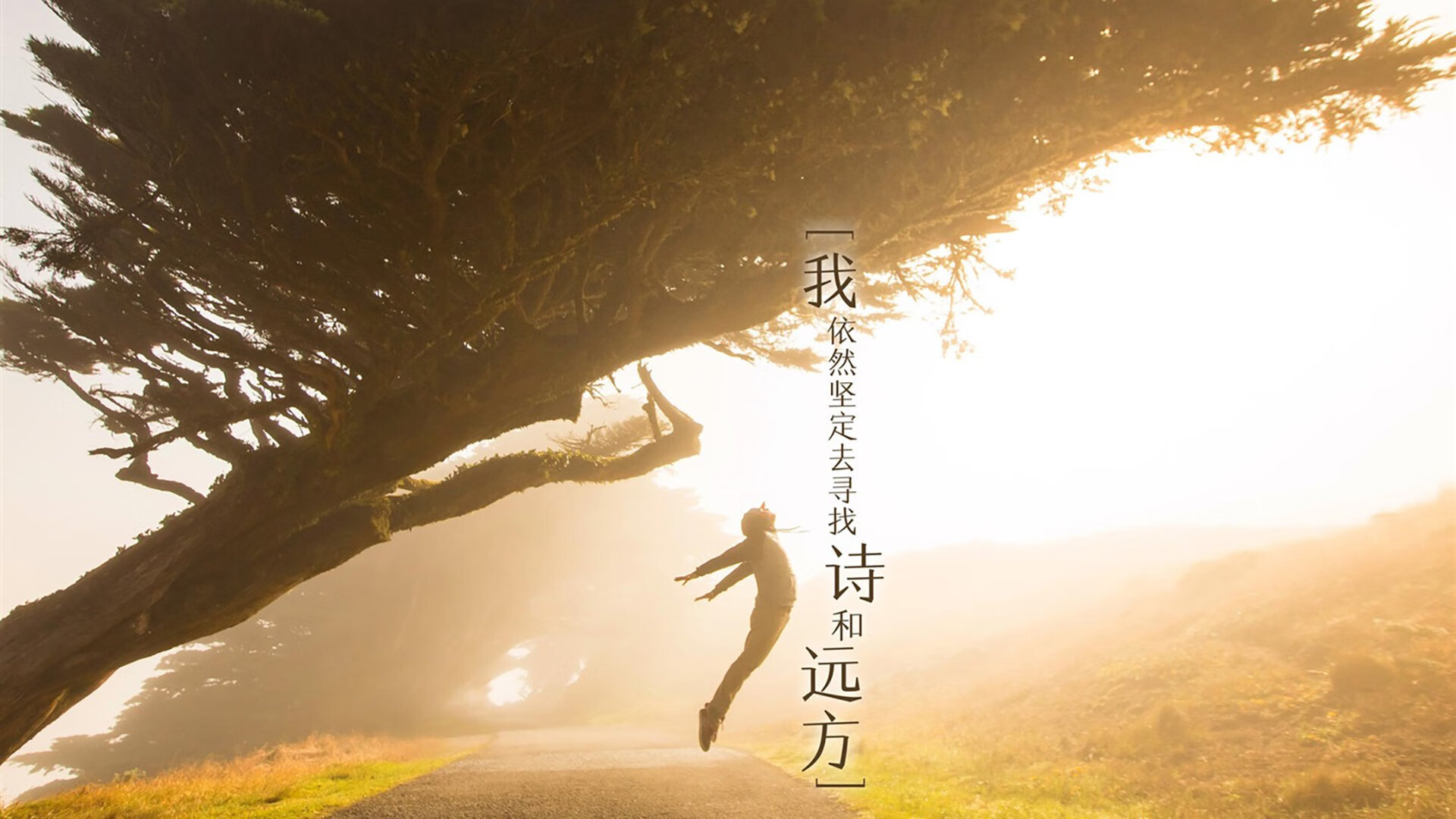 开云体育官网-南美风暴席卷卡塔尔，智利3-1掀翻西班牙，归化核心京多安两传一射，进攻犀利改写D组格局
