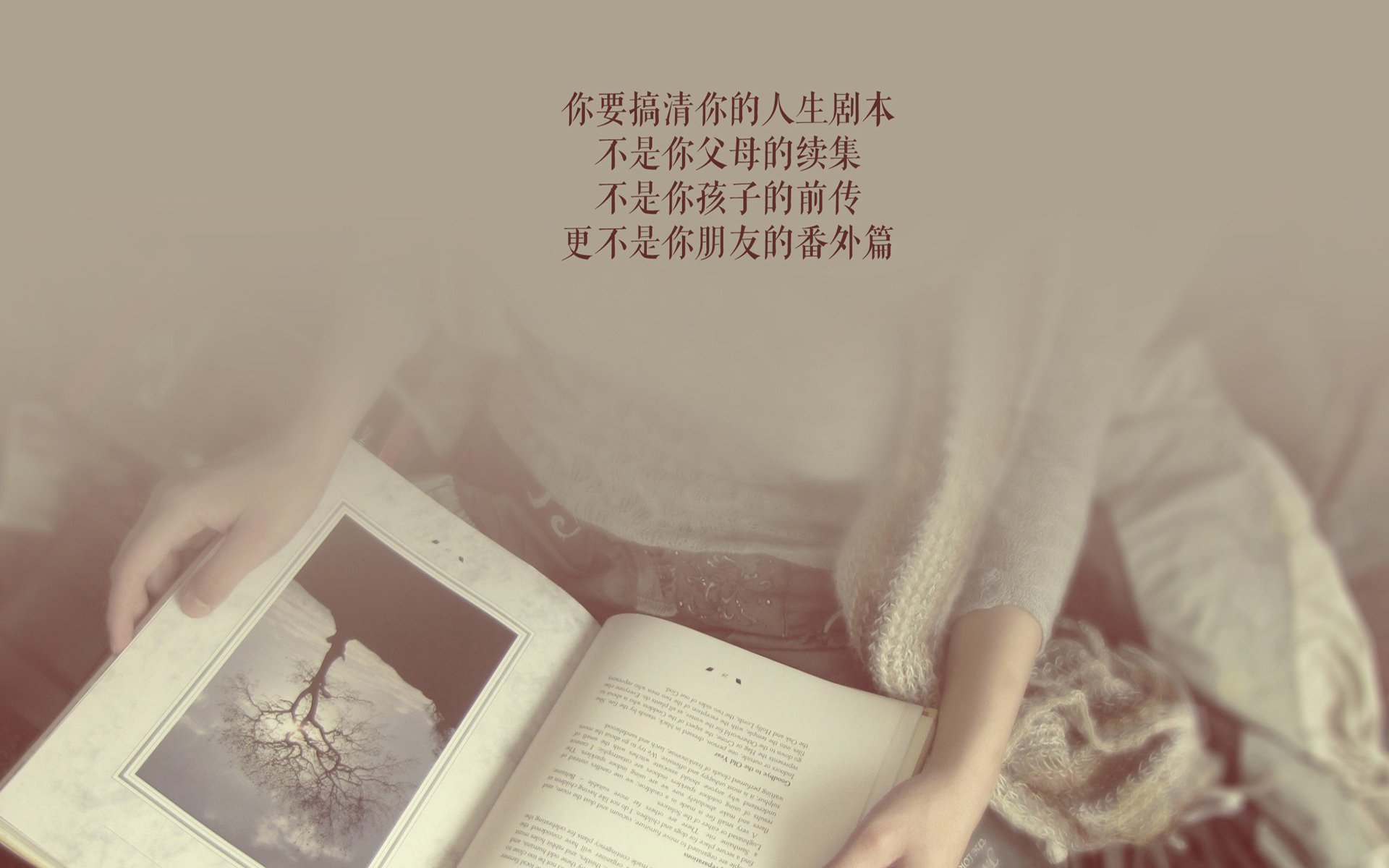 太极虎之殇，欧洲红魔的险中求生，维尼修斯如何在2026年H组焦点战中，用一剑封喉定义超级巨星