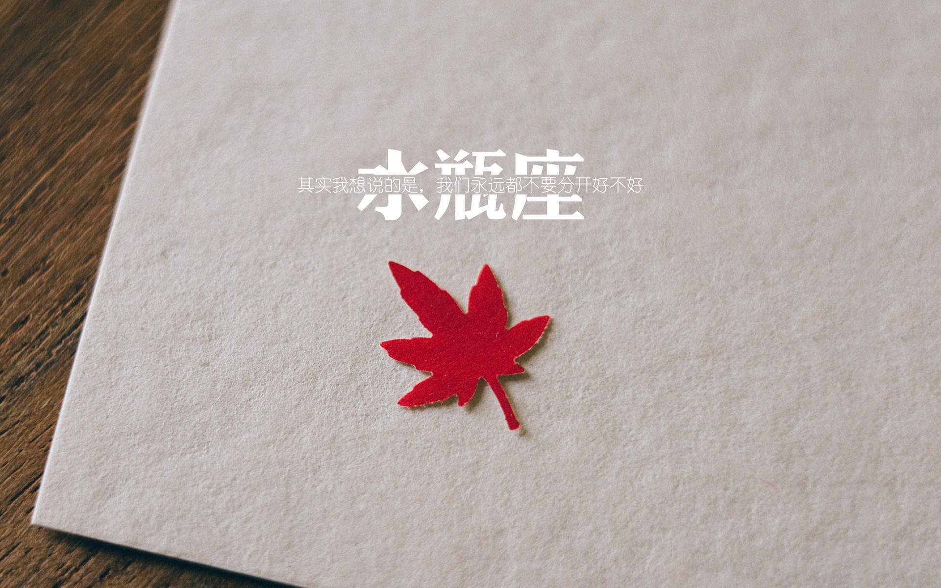 铁幕下的致命闪光,突尼斯狂攻九十分钟,京多安一瞬定乾坤—2026世界杯G组关键战纪实
